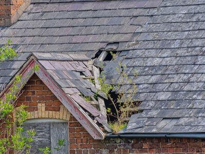 Professional flood damage restoration services in Mesa